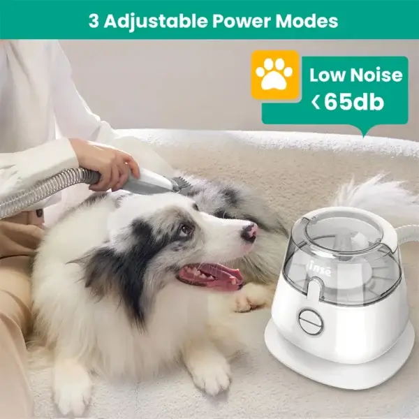 Dog Grooming Vacuum: 99% Suction with Clippers and 5 Grooming Tools for Pets - Image 4